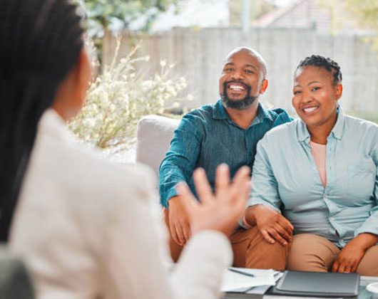 What is the job of an Immigration Consultant?